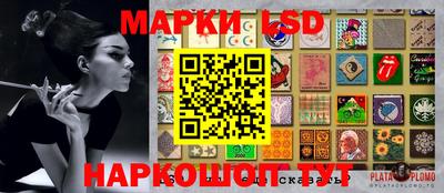 сатива Будённовск