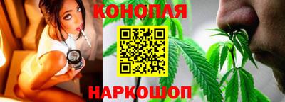 сатива Будённовск